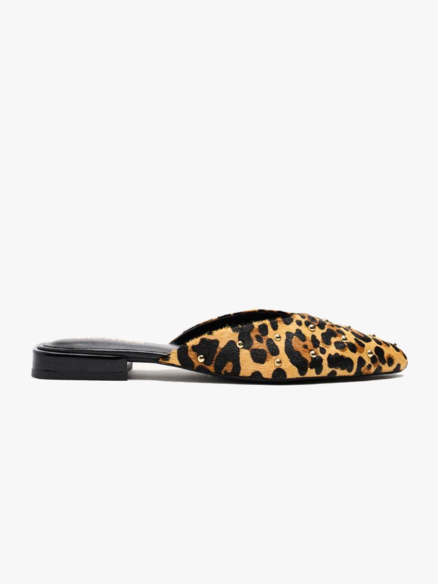 Irasburg - Leopard