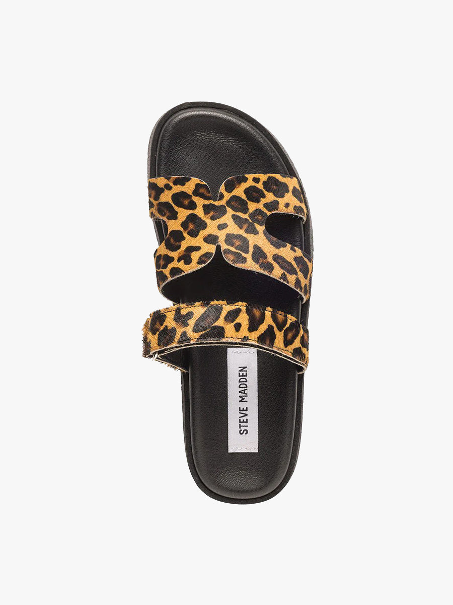MISSILE - Leopard
