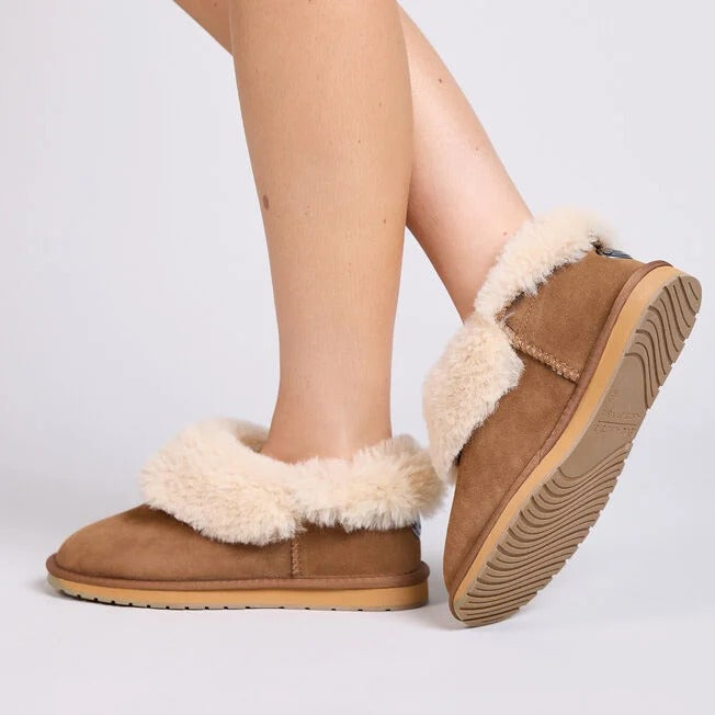 Platinum Mintaro chestnut