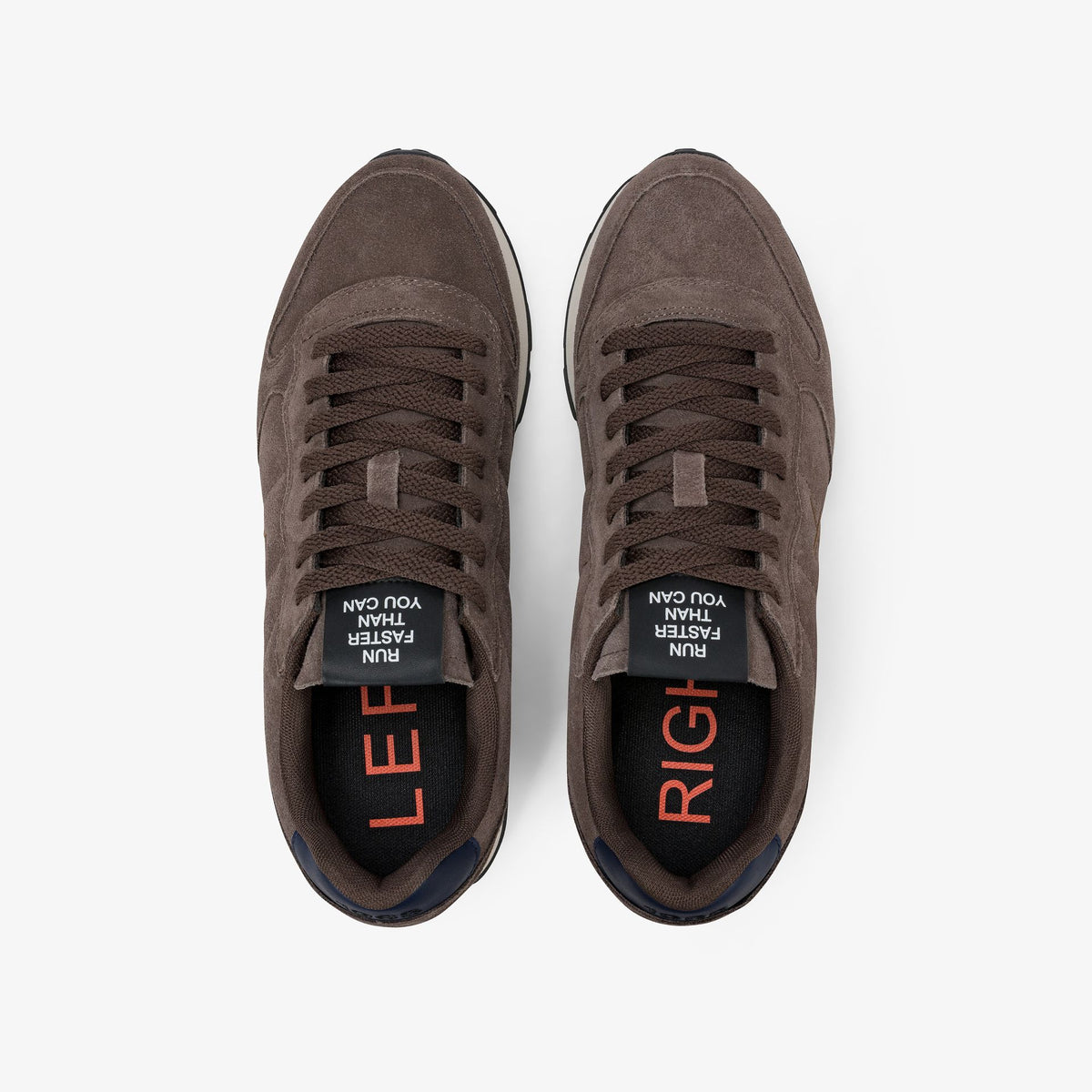 Tom Suede - Marrone