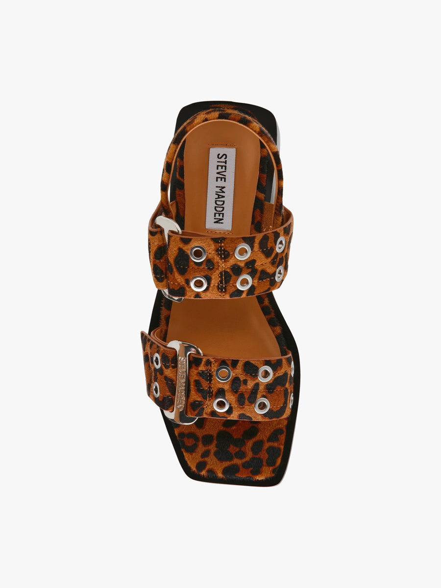 SARIA - Leopard