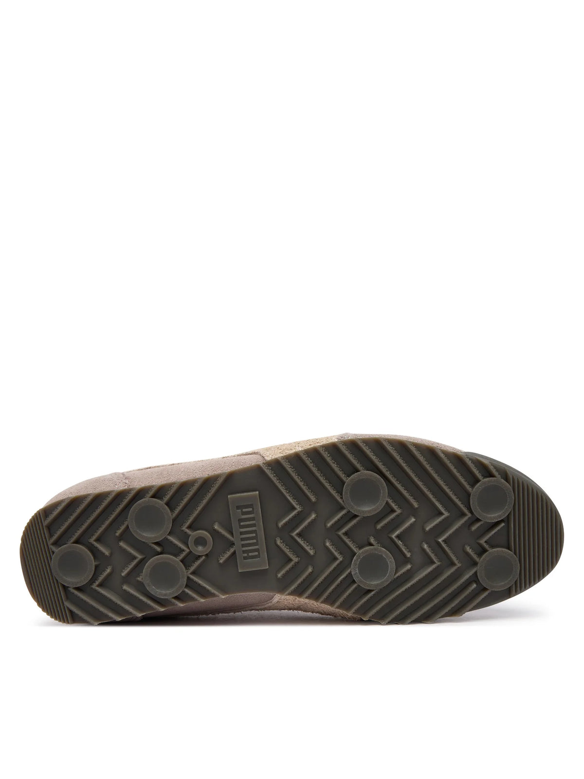 Arizona SD - Gray