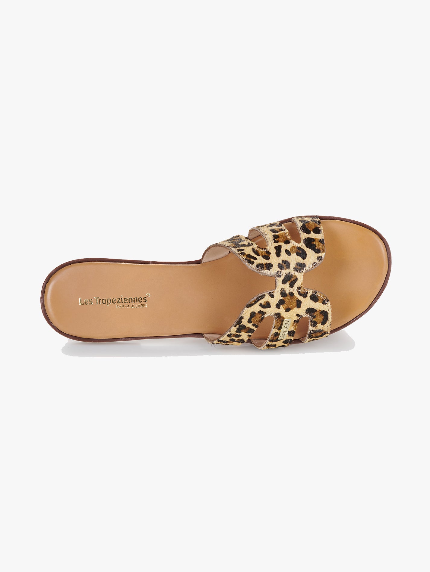 Hamigapo - Leopard