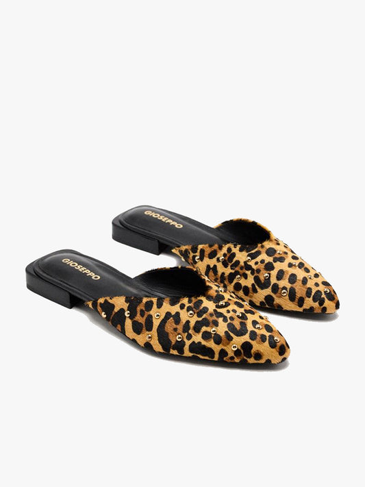 Irasburg - Leopard