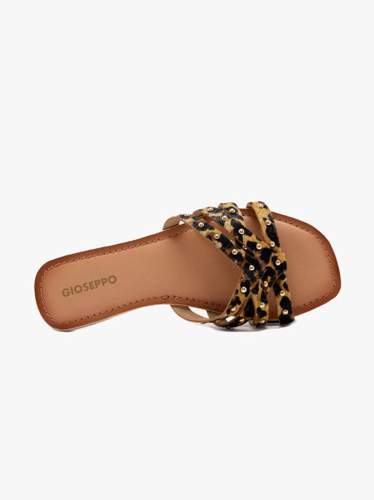 Isabelle - Leopard