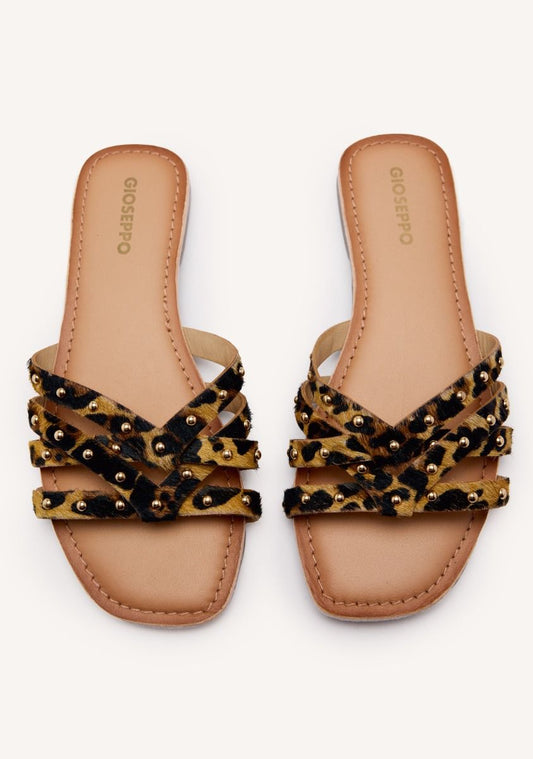 Isabelle - Leopard