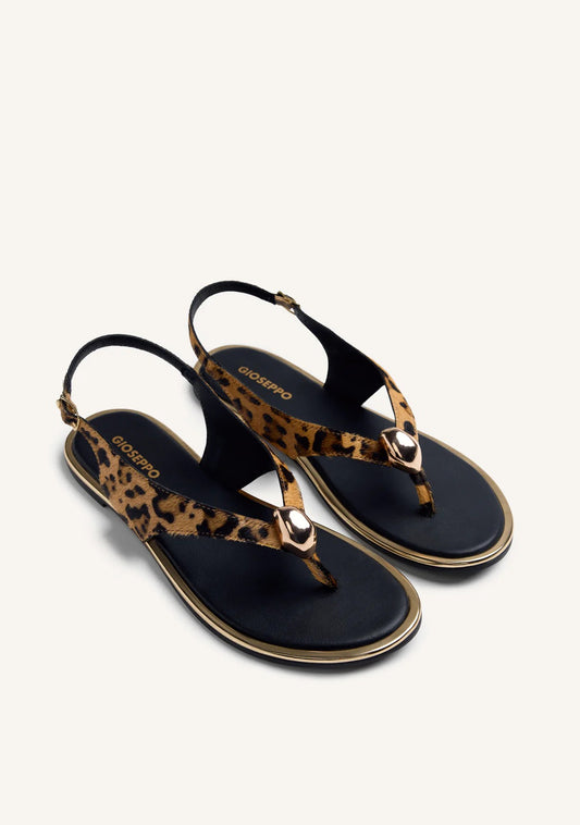 Mumias - Leopard