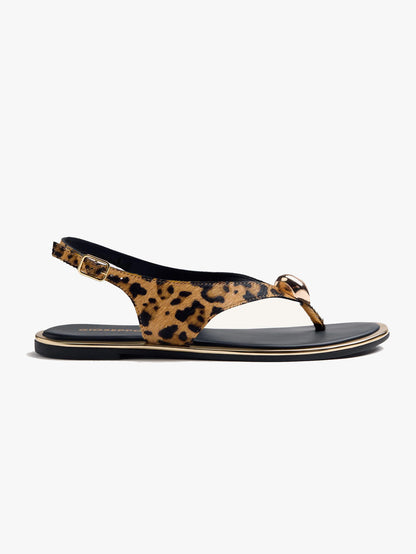 Mumias - Leopard